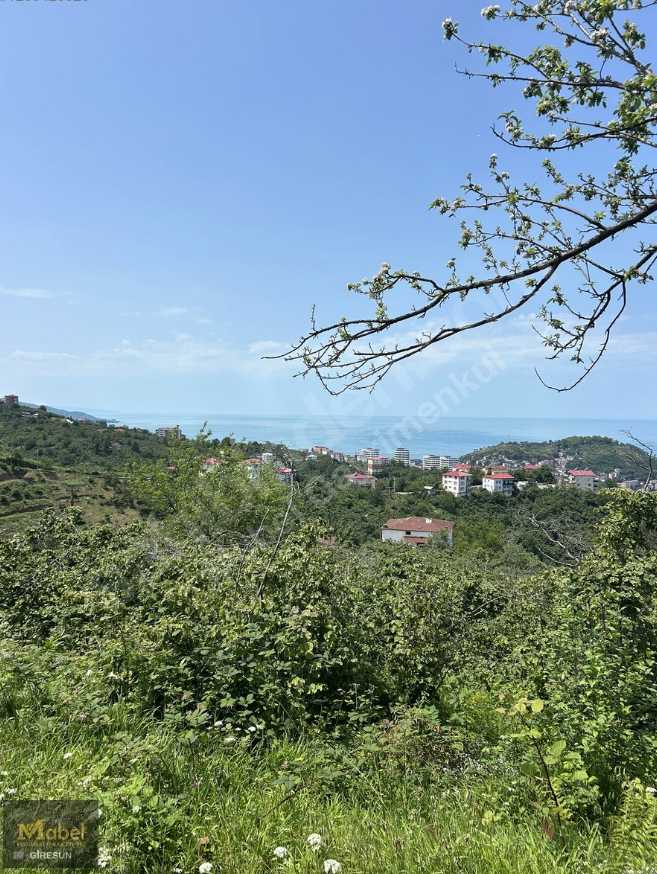 KAVAKLAR MH DENİZ MANZARALI ARSALAR